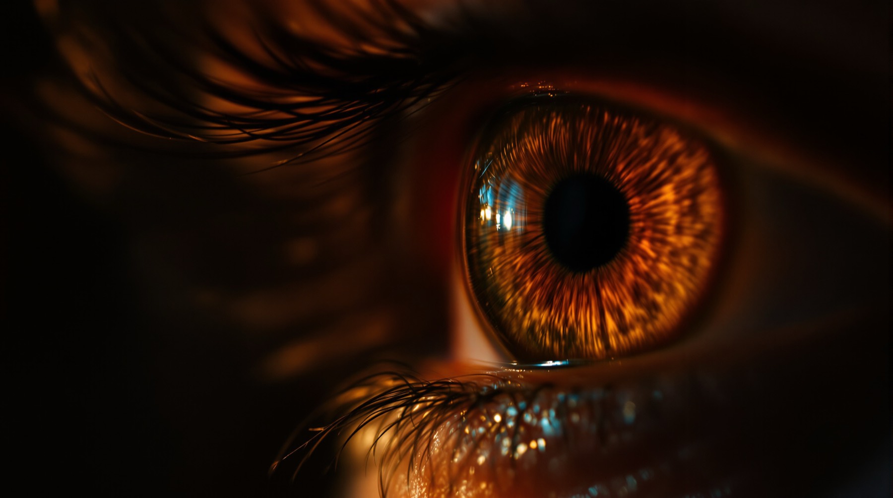 A close photograph of an eye, the iris lit amber, the pupil a single point of sharp focus